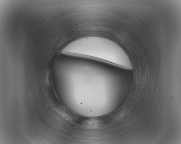 X0000068740219200604281024