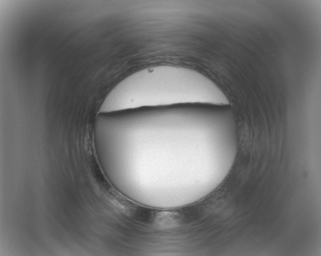 X0000068740222200604281024