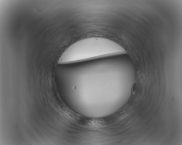 X0000068740223200604281024