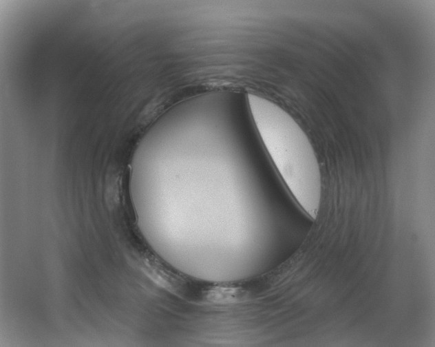 X0000068740227200604281024