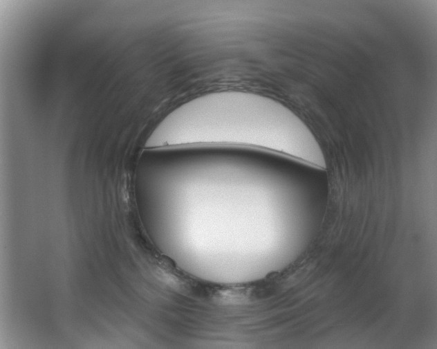 X0000068740232200604281024