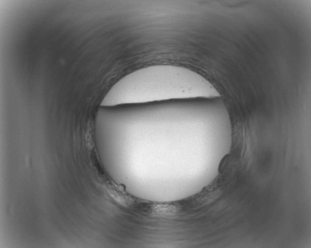 X0000068740234200604281024