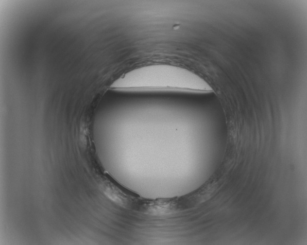 X0000068740235200604281024