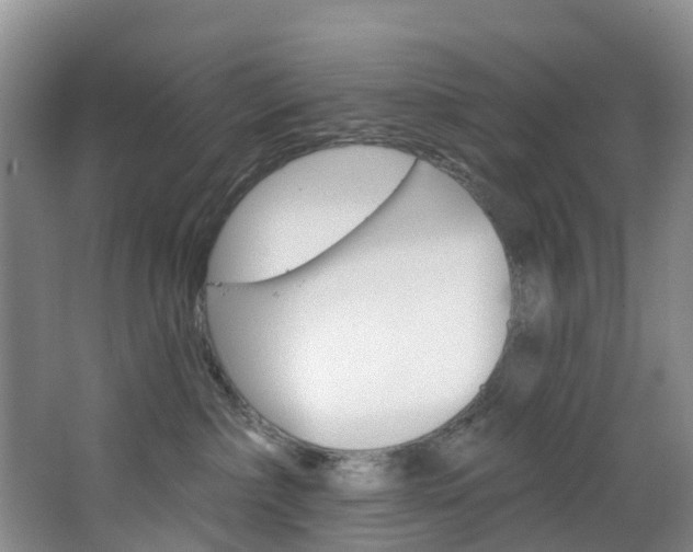 X0000068740236200604281024