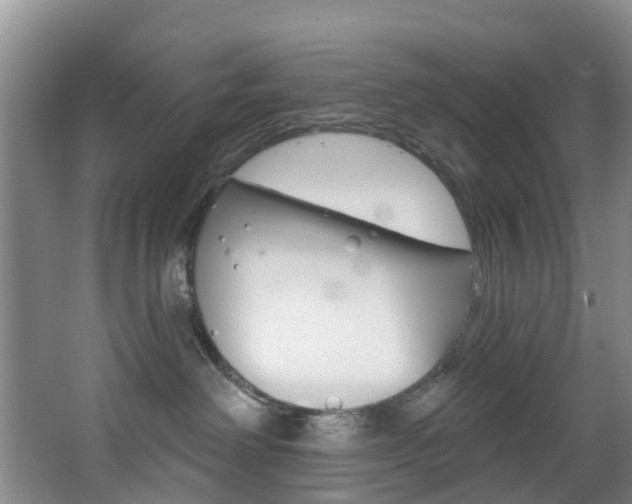 X0000068740238200604281024