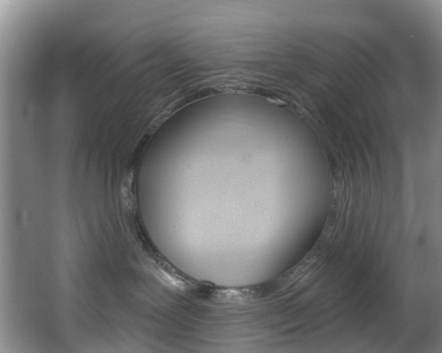 X0000068740239200604281024