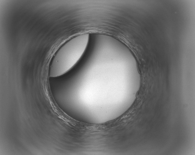 X0000068740241200604281023