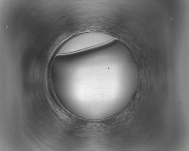 X0000068740242200604281023