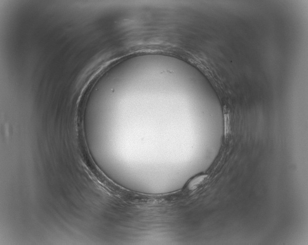 X0000068740243200604281023