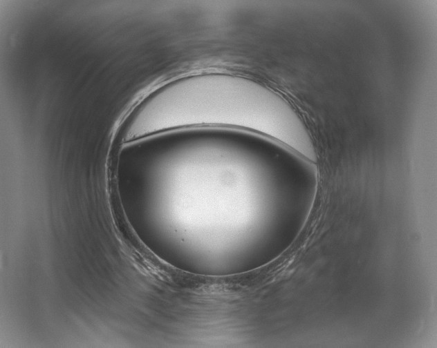 X0000068740244200604281023