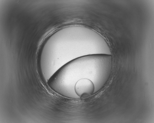 X0000068740245200604281023