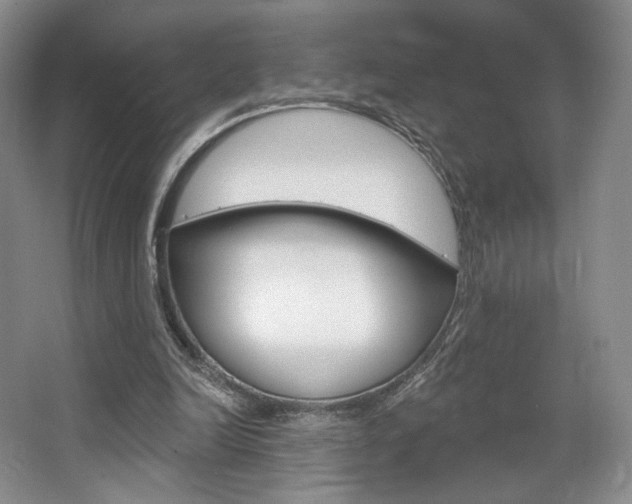 X0000068740246200604281023