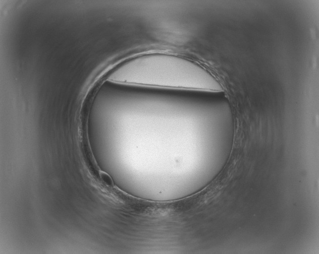 X0000068740247200604281023