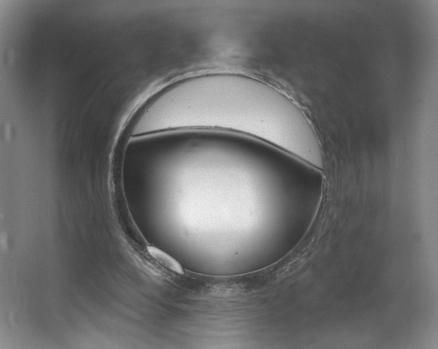 X0000068740248200604281023