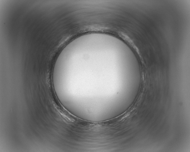 X0000068740249200604281023