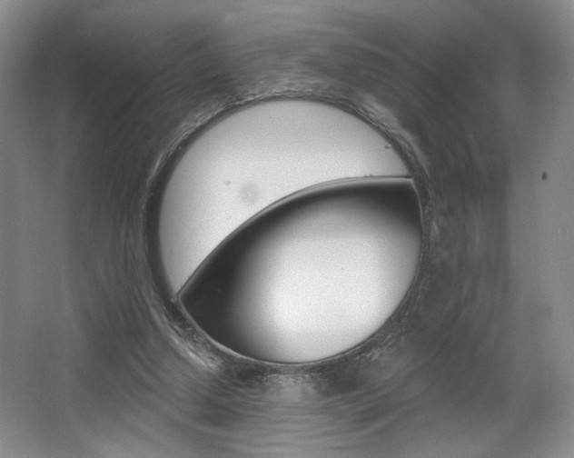 X0000068740250200604281023