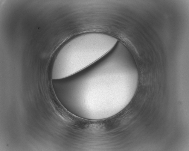 X0000068740251200604281023