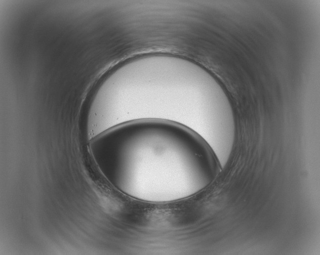 X0000068740252200604281023