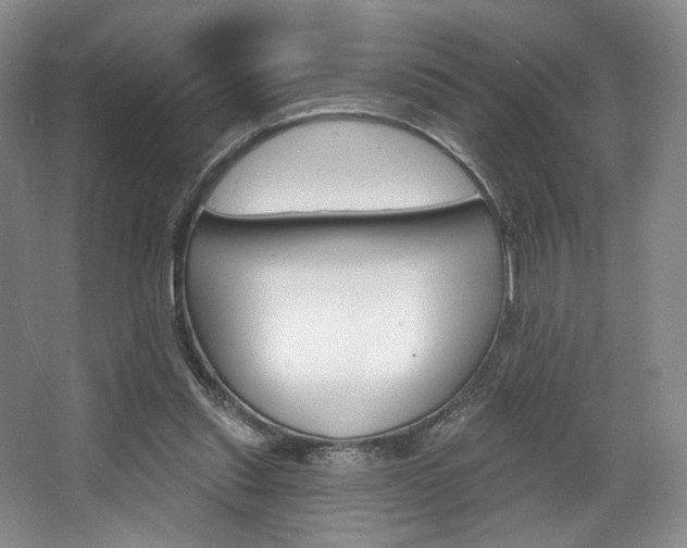 X0000068740253200604281023