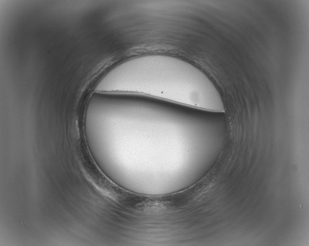 X0000068740254200604281023