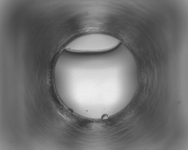 X0000068740255200604281023