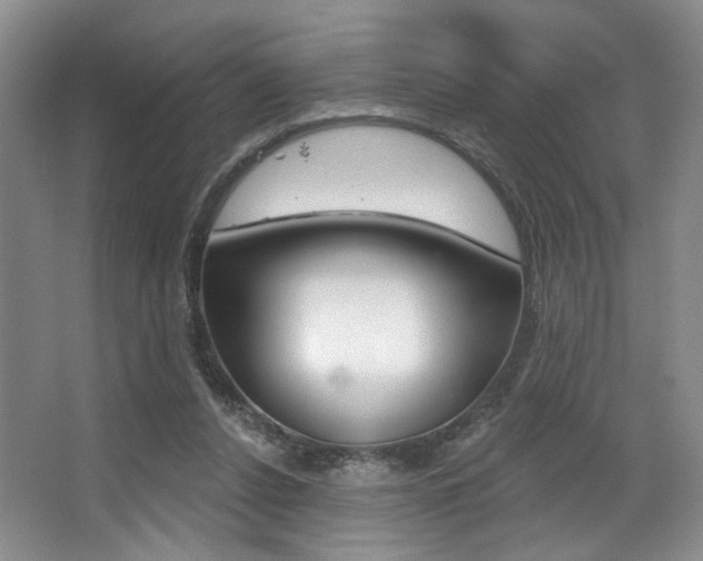 X0000068740256200604281023