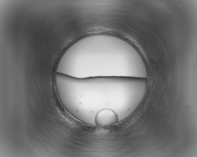 X0000068740257200604281023