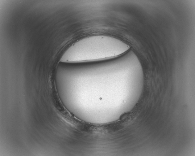 X0000068740258200604281023