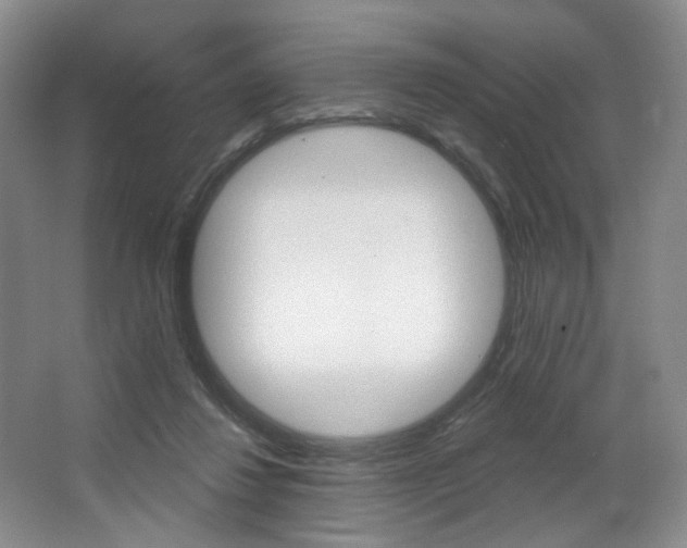 X0000068740260200604281024