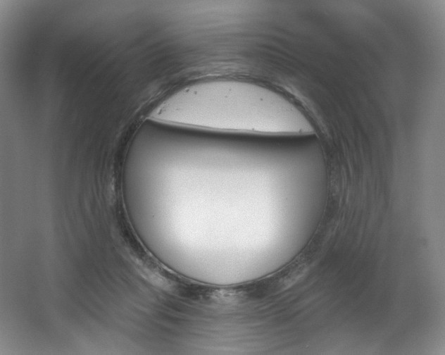 X0000068740261200604281024