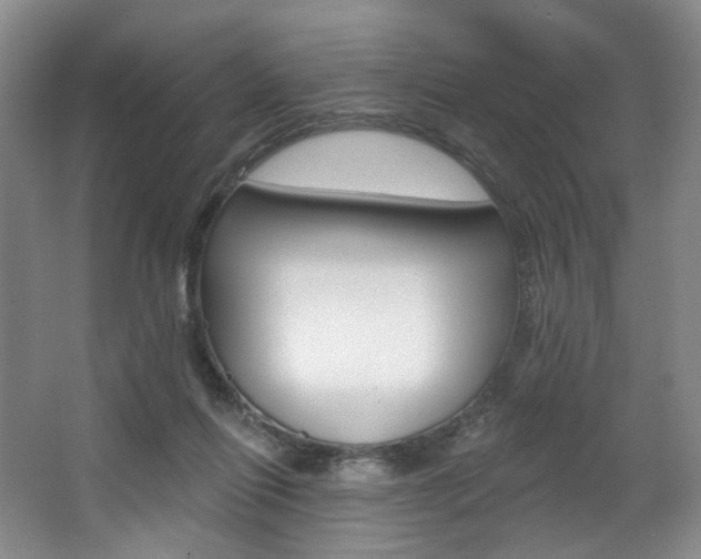 X0000068740262200604281024