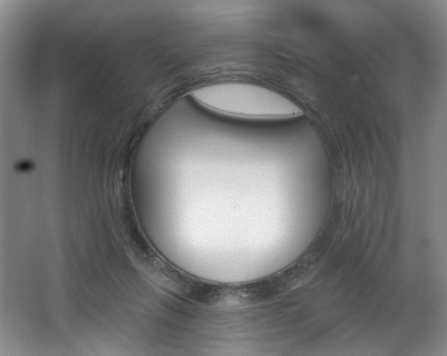 X0000068740263200604281024