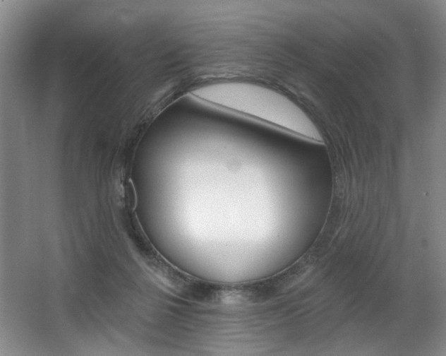 X0000068740264200604281024