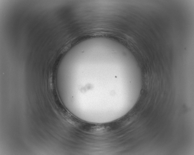 X0000068740267200604281024