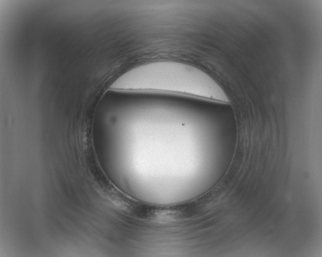 X0000068740268200604281024