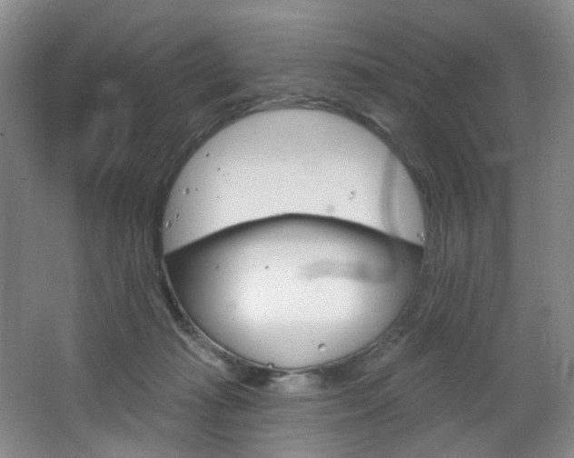 X0000068740269200604281024