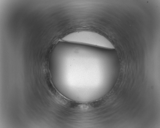 X0000068740272200604281024