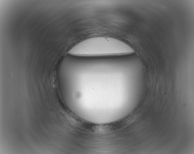 X0000068740273200604281024