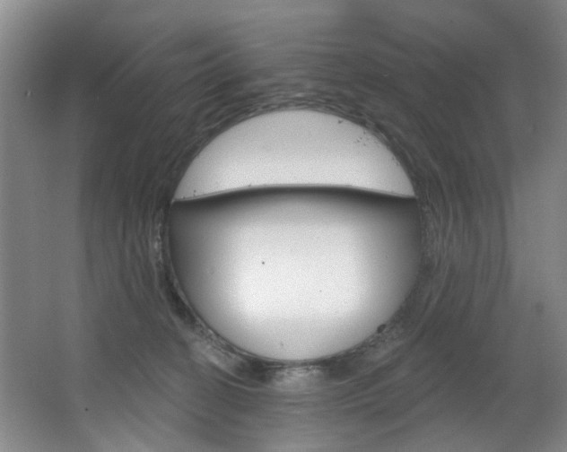 X0000068740274200604281024