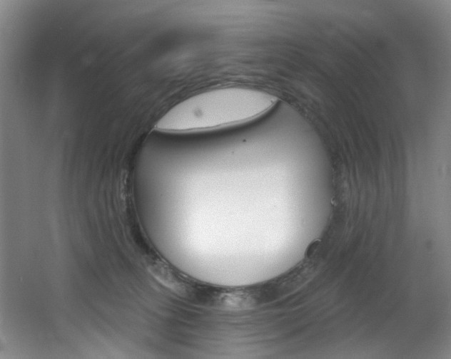 X0000068740275200604281024