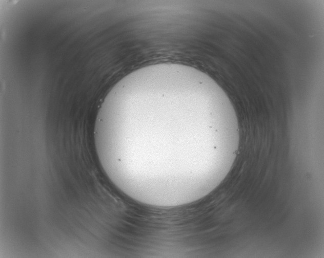 X0000068740276200604281024