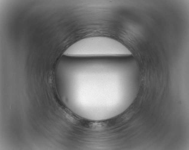 X0000068740277200604281024