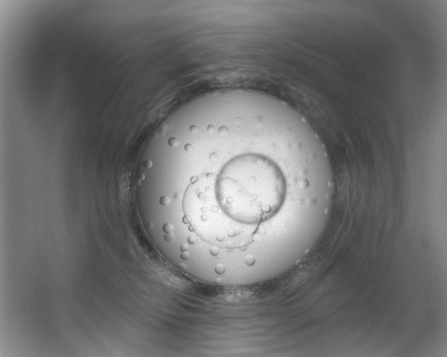 X0000068740278200604281024