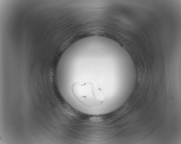 X0000068740279200604281024