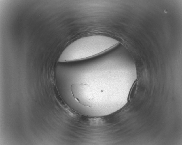 X0000068740281200604281024