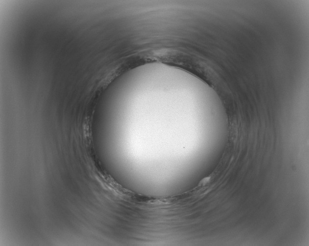 X0000068740284200604281024