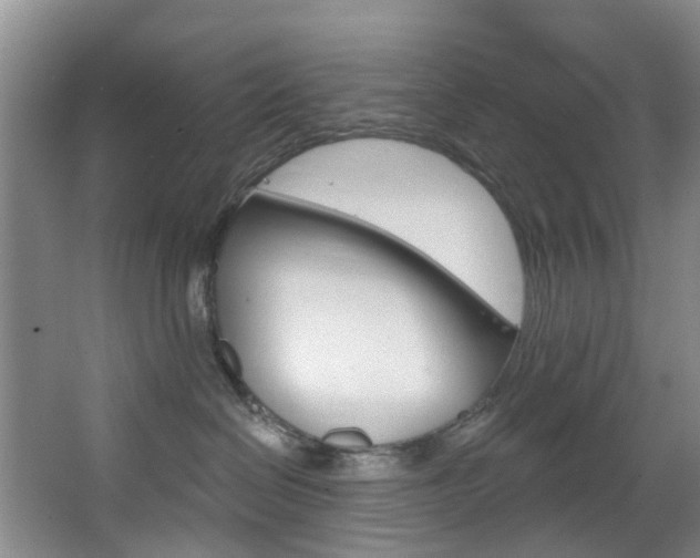 X0000068740286200604281024