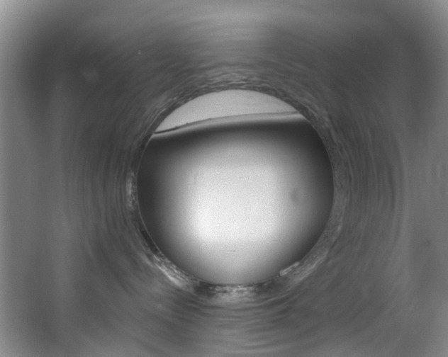 X0000068740288200604281024