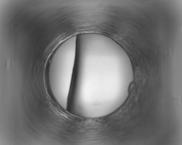 X0000068740290200604281023