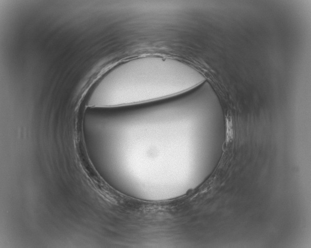 X0000068740291200604281023